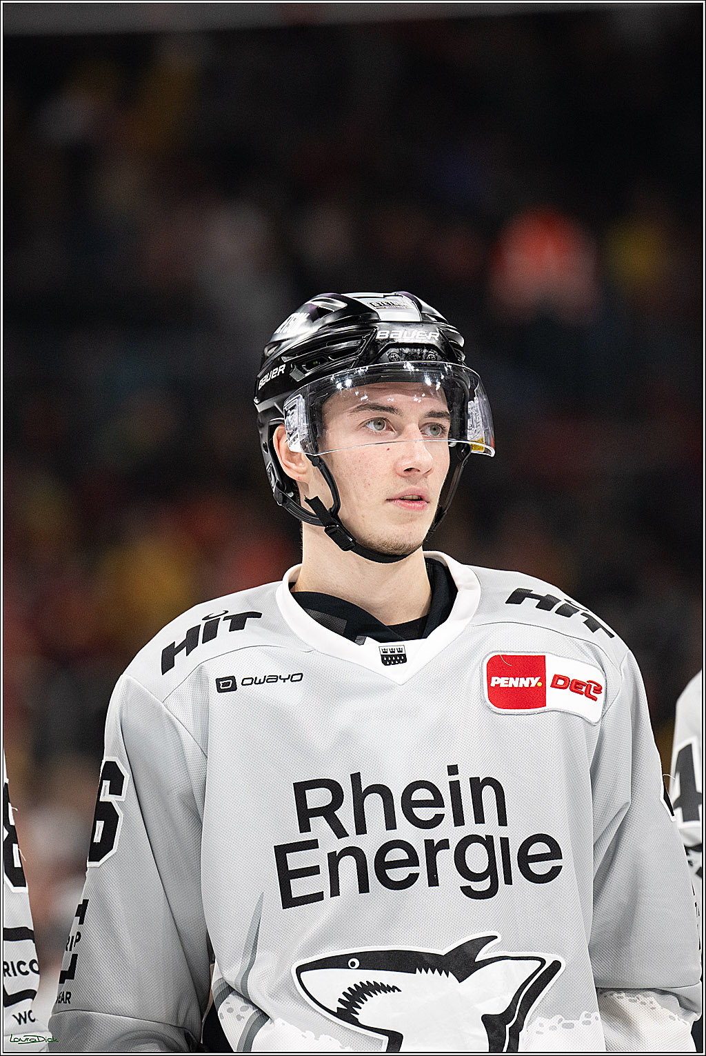 PENNY DEL; Duesseldorfer EG- Koelner Haie; Duesseldorf, 24.01.2025